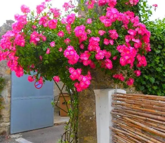 Vakantiehuis La Talmondaise - Maison Chaleureuse Pour Vos Vacances ! *