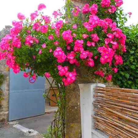 Tatil Evi La Talmondaise - Maison Chaleureuse Pour Vos Vacances ! *